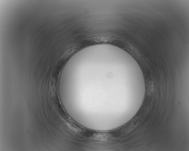 X0000079580414200612152111