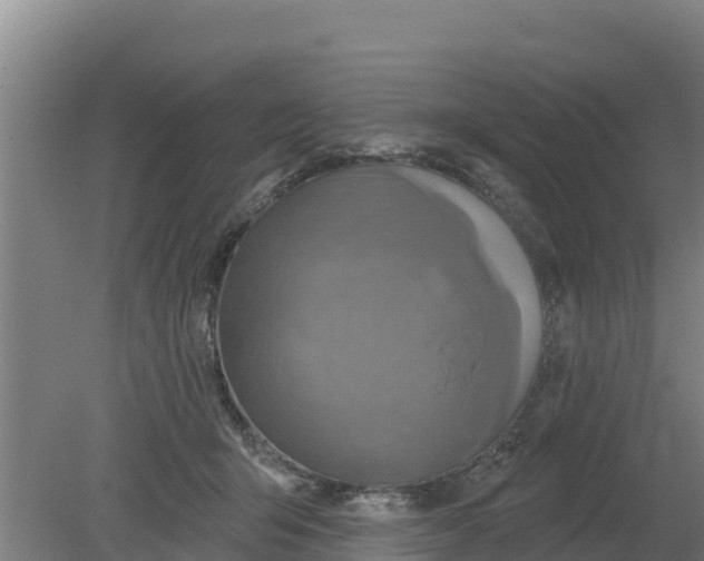 X0000079580415200612152111