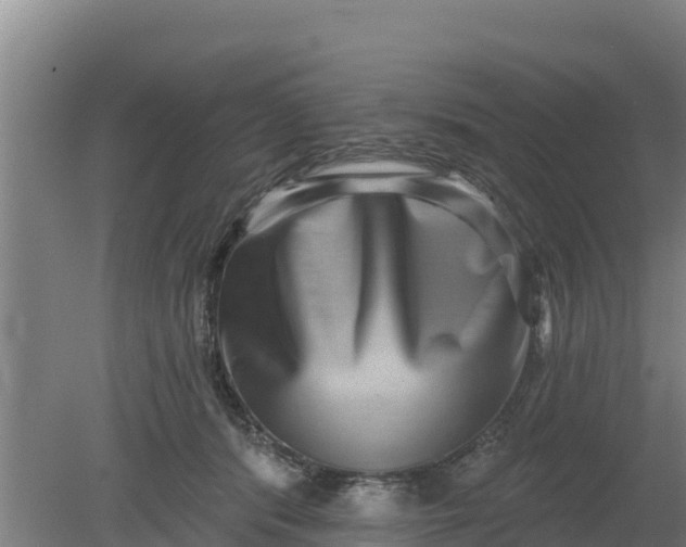 X0000079580416200612152111