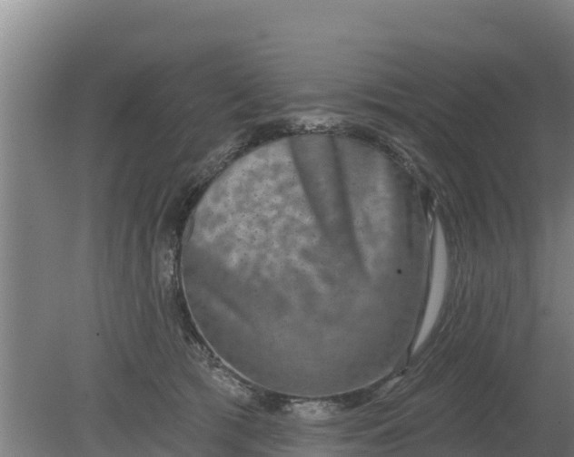 X0000079580417200612152111