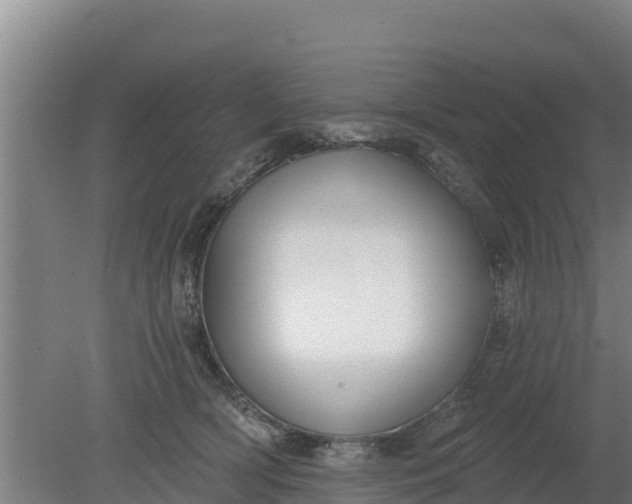 X0000079580418200612152111