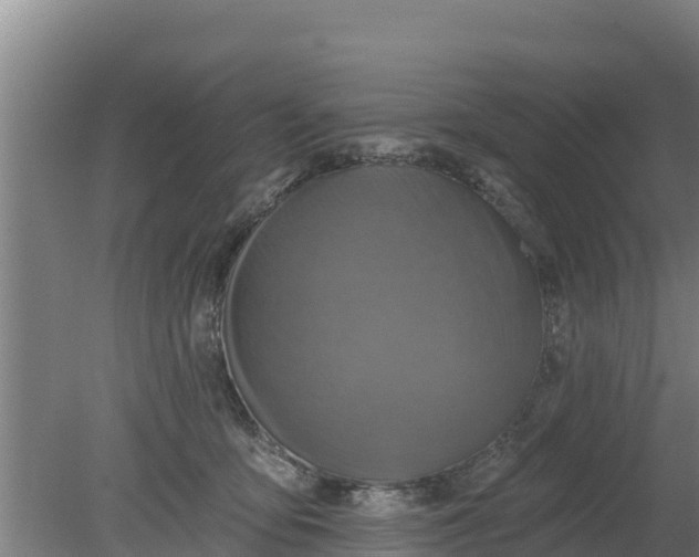 X0000079580419200612152111