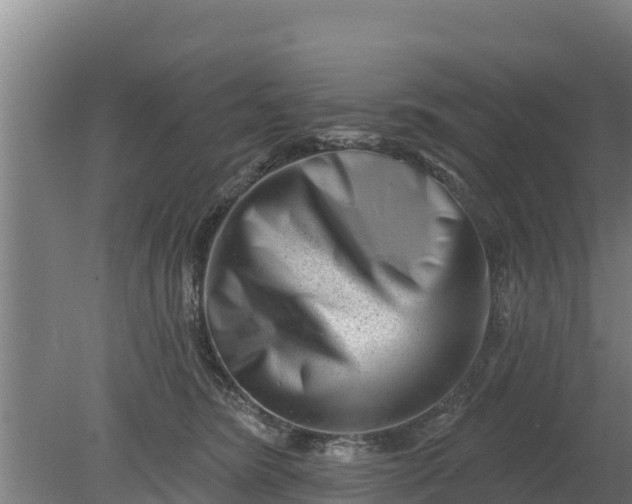 X0000079580420200612152111