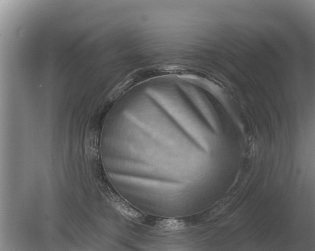 X0000079580421200612152111