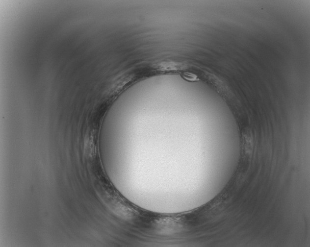 X0000079580422200612152111