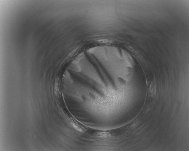 X0000079580424200612152111