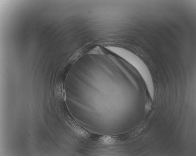 X0000079580425200612152111