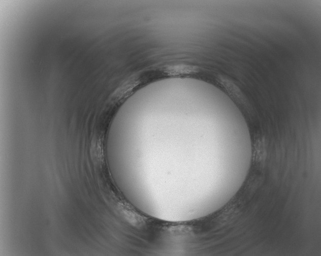 X0000079580426200612152111