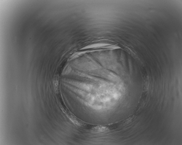 X0000079580427200612152111