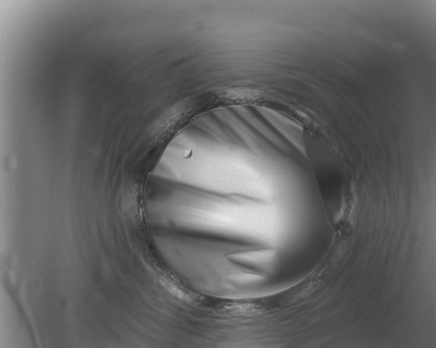 X0000079580428200612152111