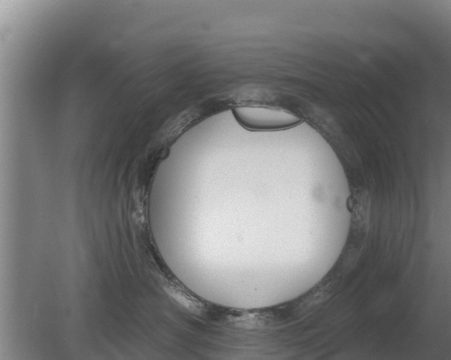 X0000079580430200612152111