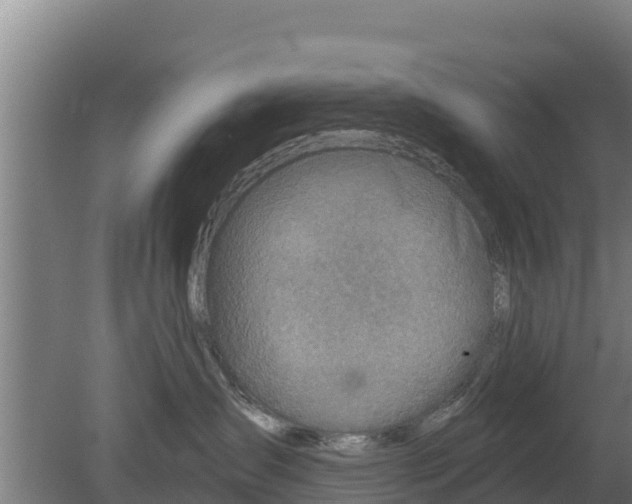 X0000079580431200612152111