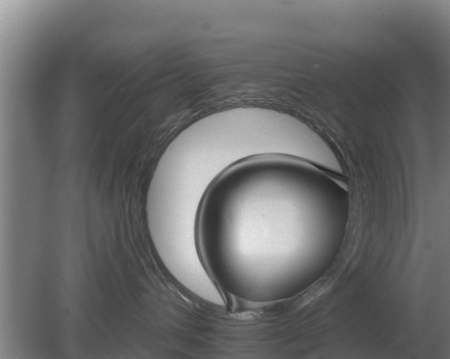 X0000079580432200612152111