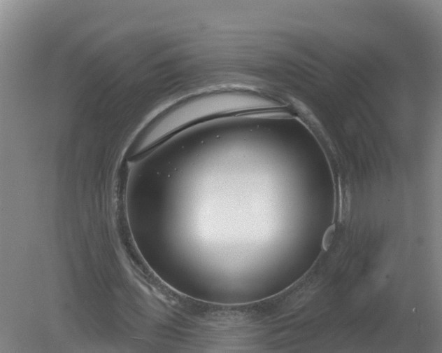 X0000079580435200612152110