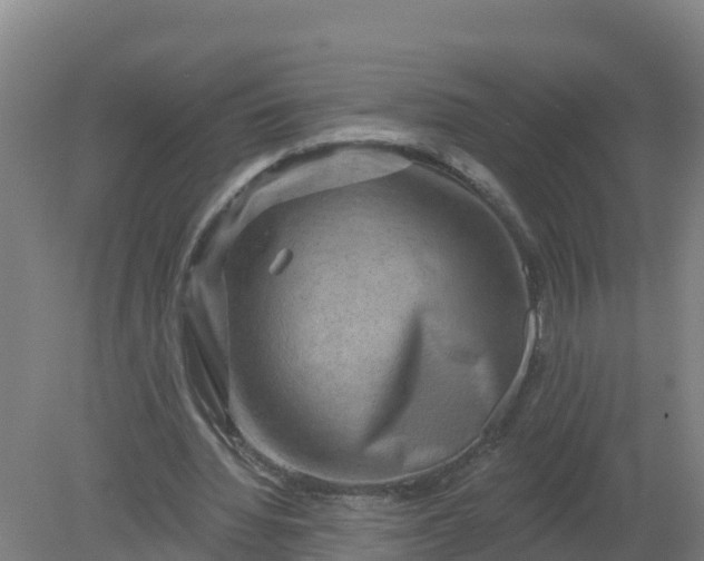 X0000079580436200612152110