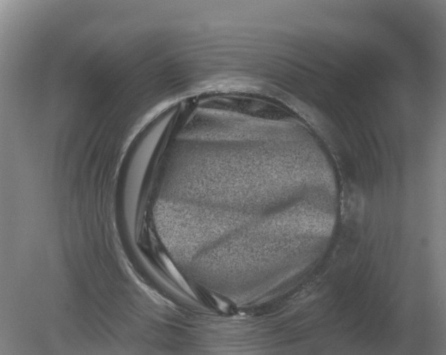 X0000079580438200612152110