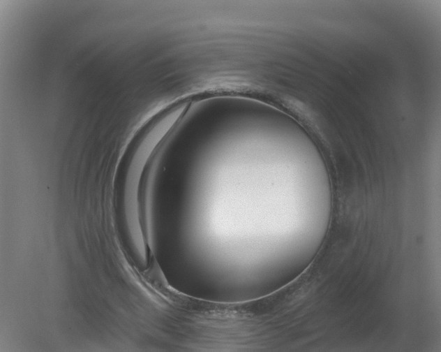 X0000079580439200612152110