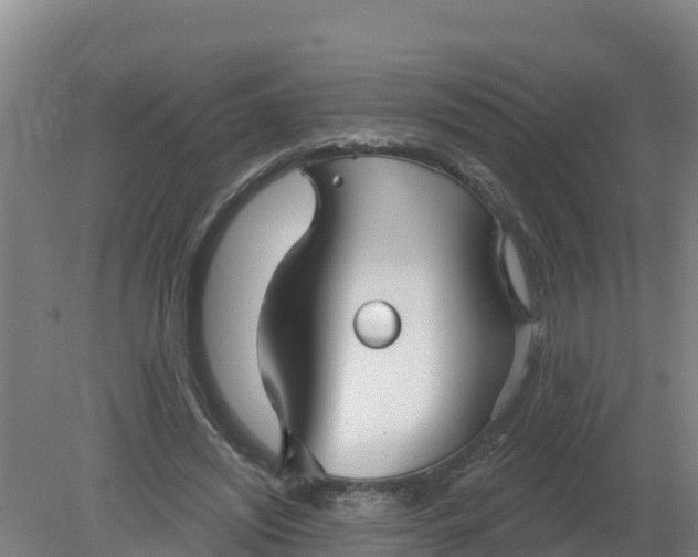 X0000079580444200612152110