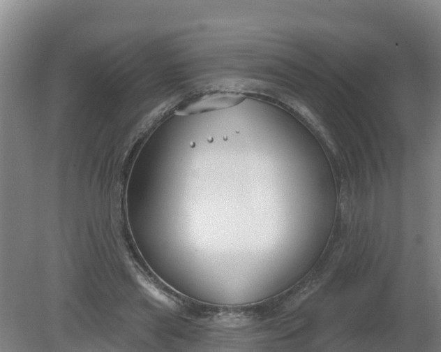 X0000079580445200612152110