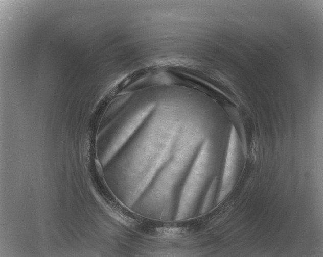 X0000079580448200612152110