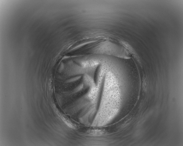 X0000079580449200612152110