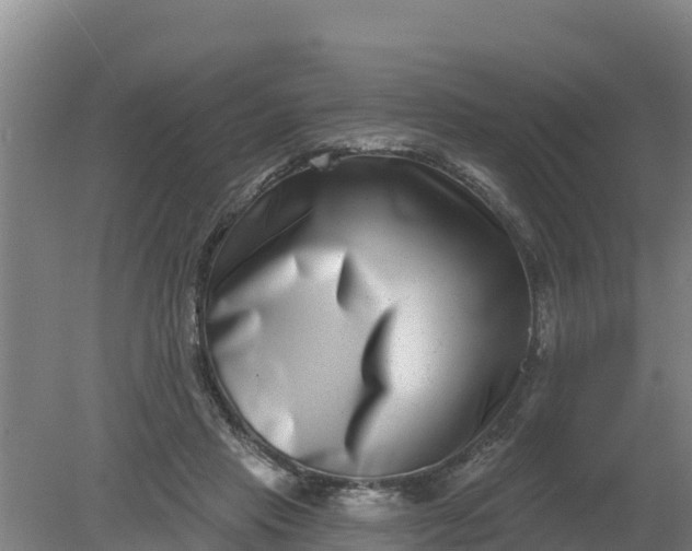 X0000079580453200612152110