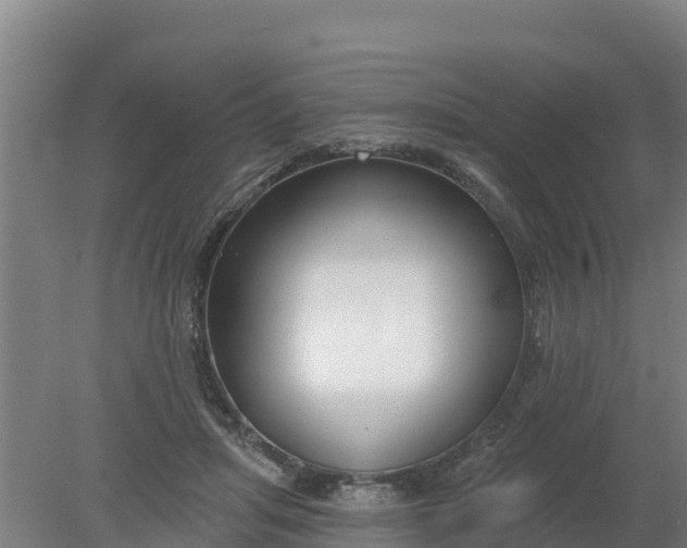 X0000079580455200612152110