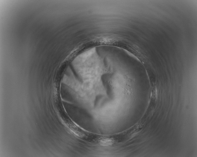 X0000079580456200612152110