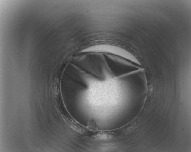 X0000079580464200612152110