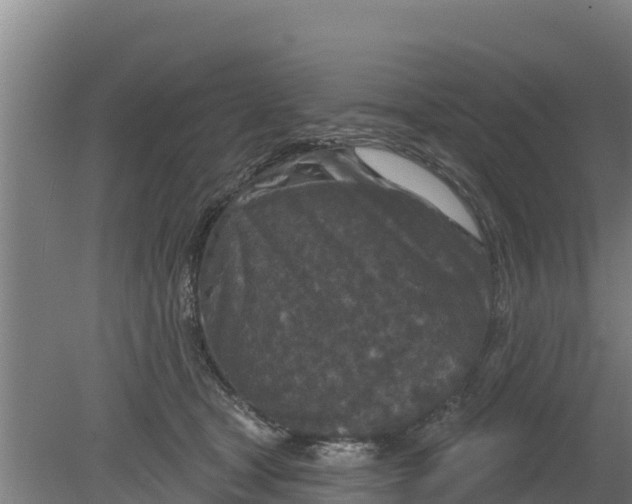 X0000079580465200612152110