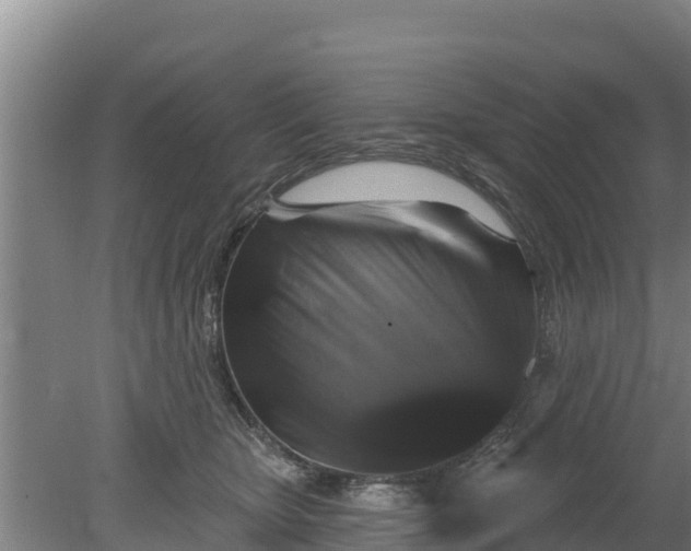 X0000079580467200612152110