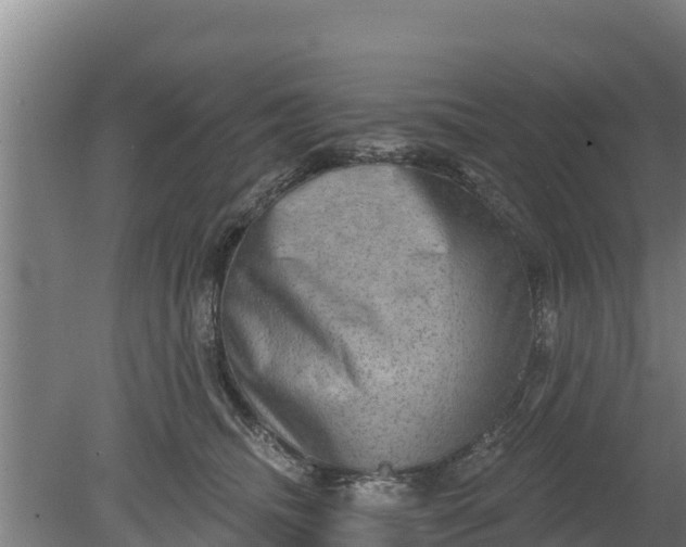 X0000079580468200612152110