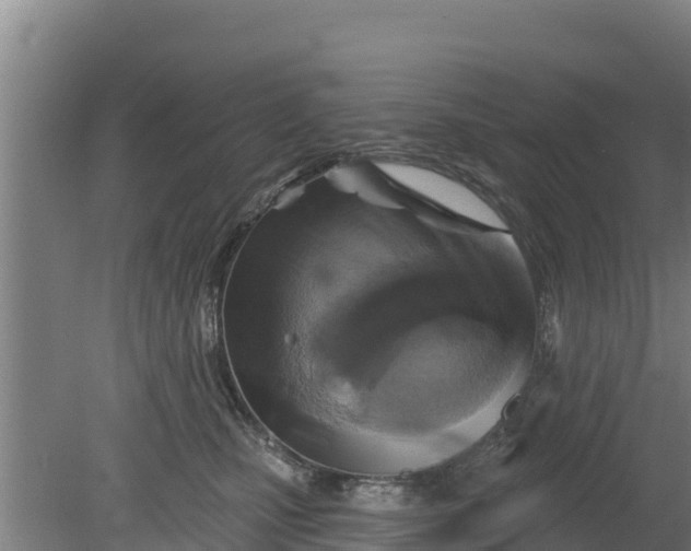 X0000079580471200612152110