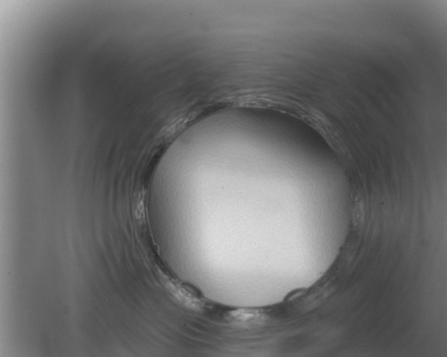 X0000079580477200612152110