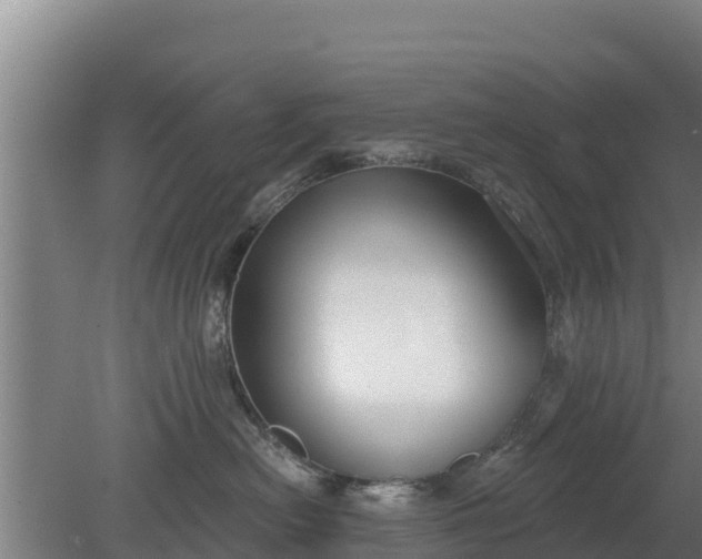 X0000079580478200612152110