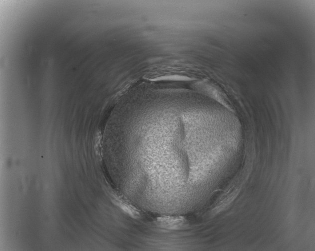 X0000079580480200612152111