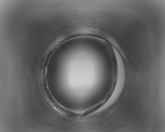 X0000079580485200612152110