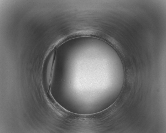 X0000079580486200612152110