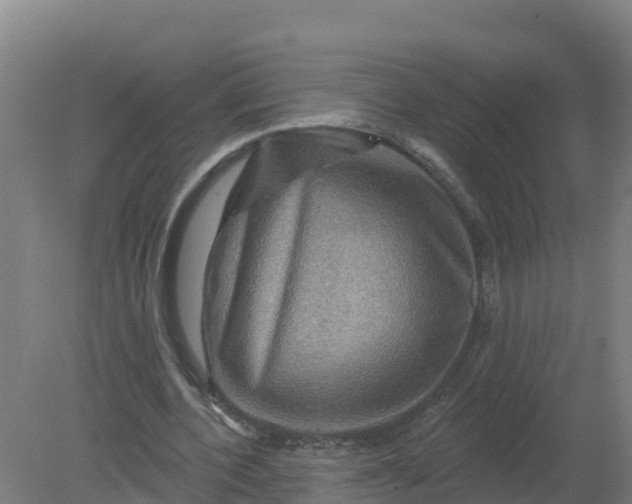 X0000079580532200612152108