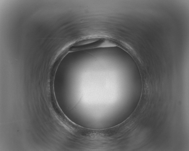 X0000079580535200612152108