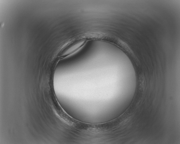 X0000079580538200612152108