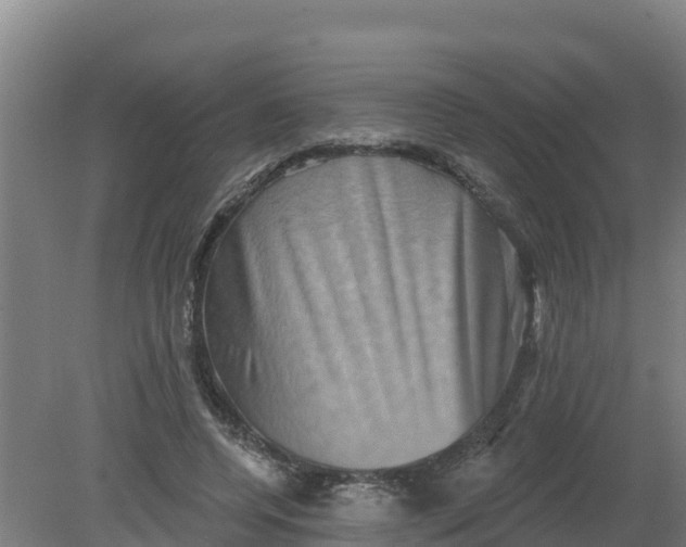 X0000079580544200612152108