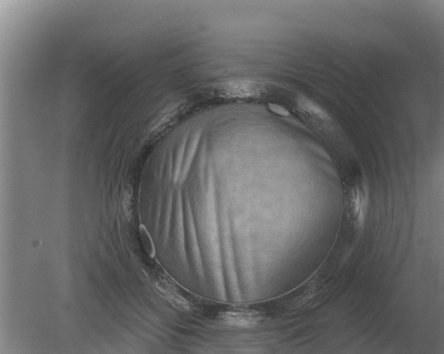 X0000079580556200612152109