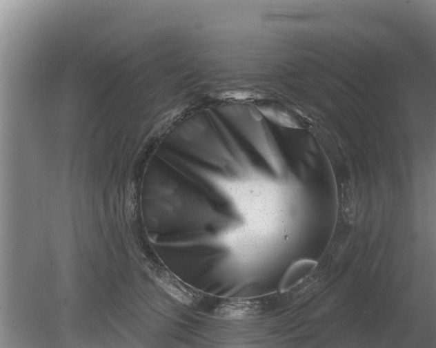 X0000079580563200612152109