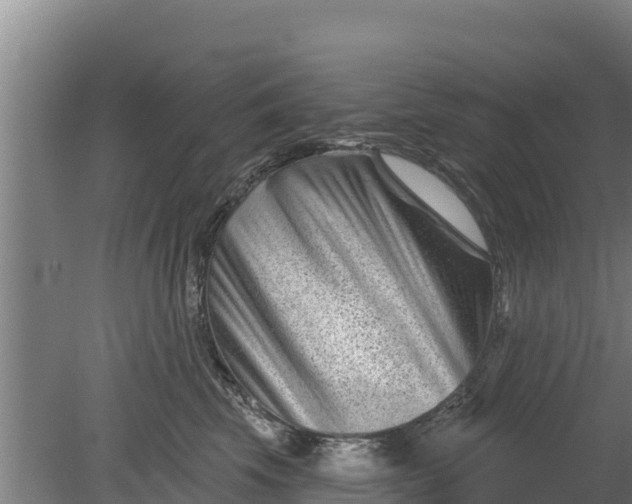 X0000079580569200612152109