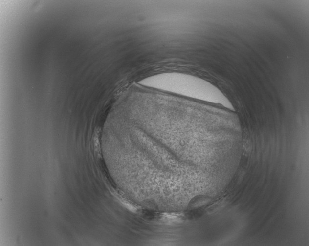 X0000079580573200612152109