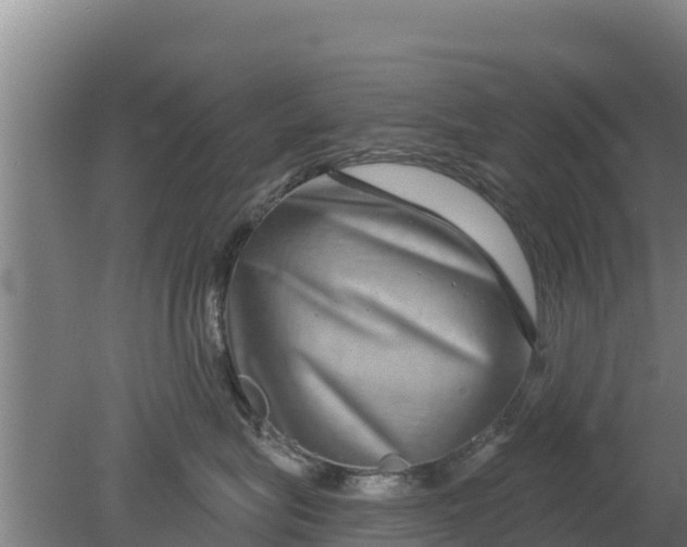 X0000079580575200612152109