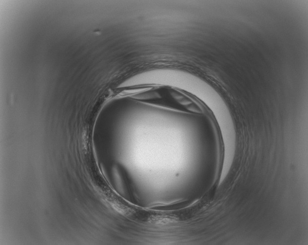 X0000079580597200612152108