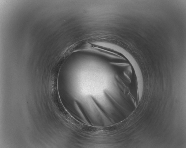 X0000079580600200612152108