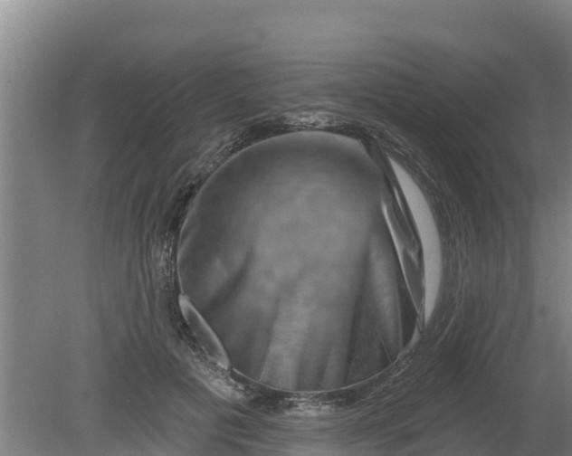 X0000079580601200612152108